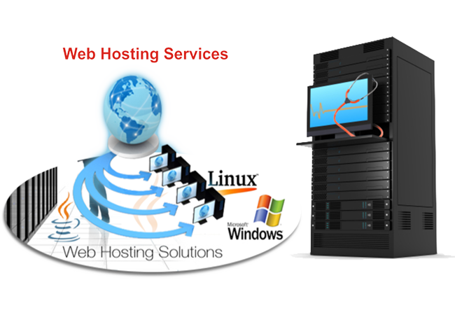 Web Domain and Hosting Services